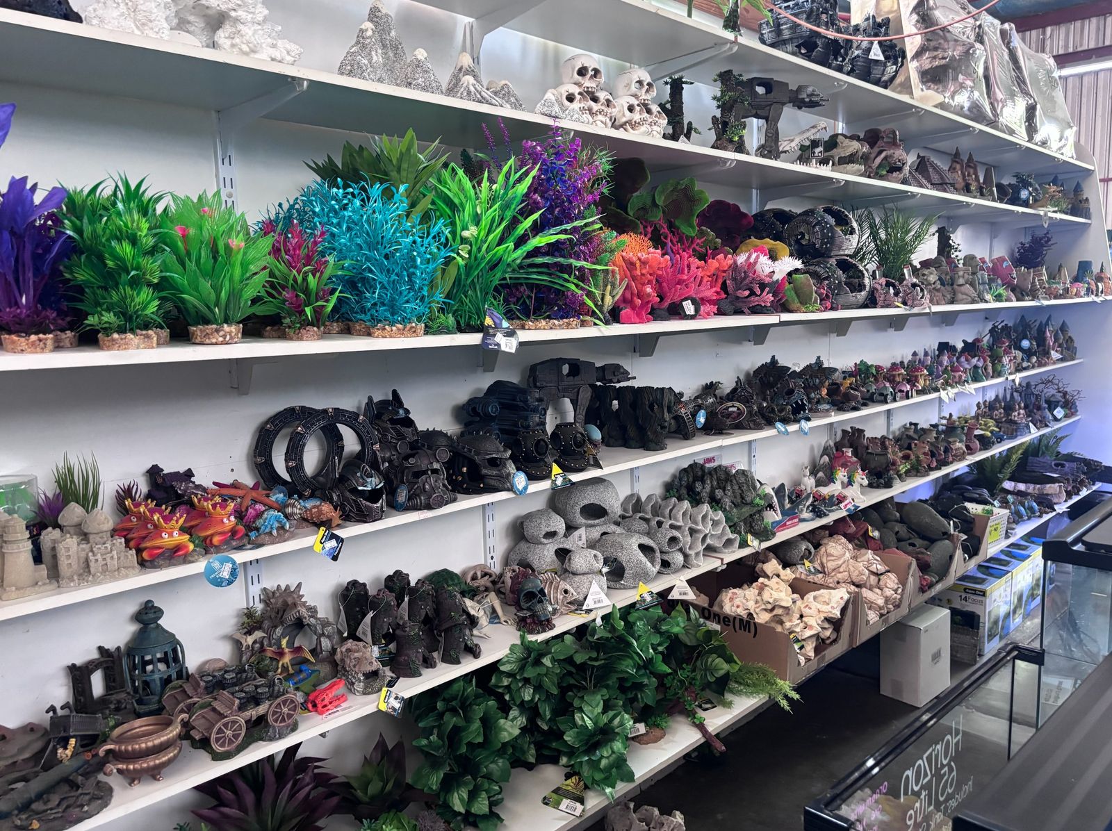 Colourful aquarium plants and tank ornaments on the shelves